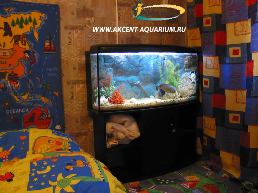 Акцент-аквариум,аквариум 240 литров с объемным фоном